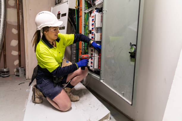 Best Electric Panel Repair  in Sterling Ranch, CO